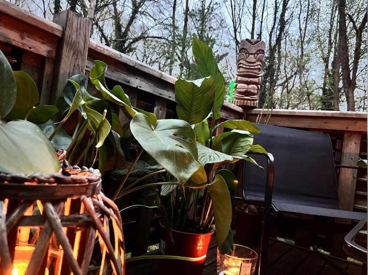 Tiki House M-Home-Climatise - Belle Parcelle ! Saint-Chéron Exterior foto